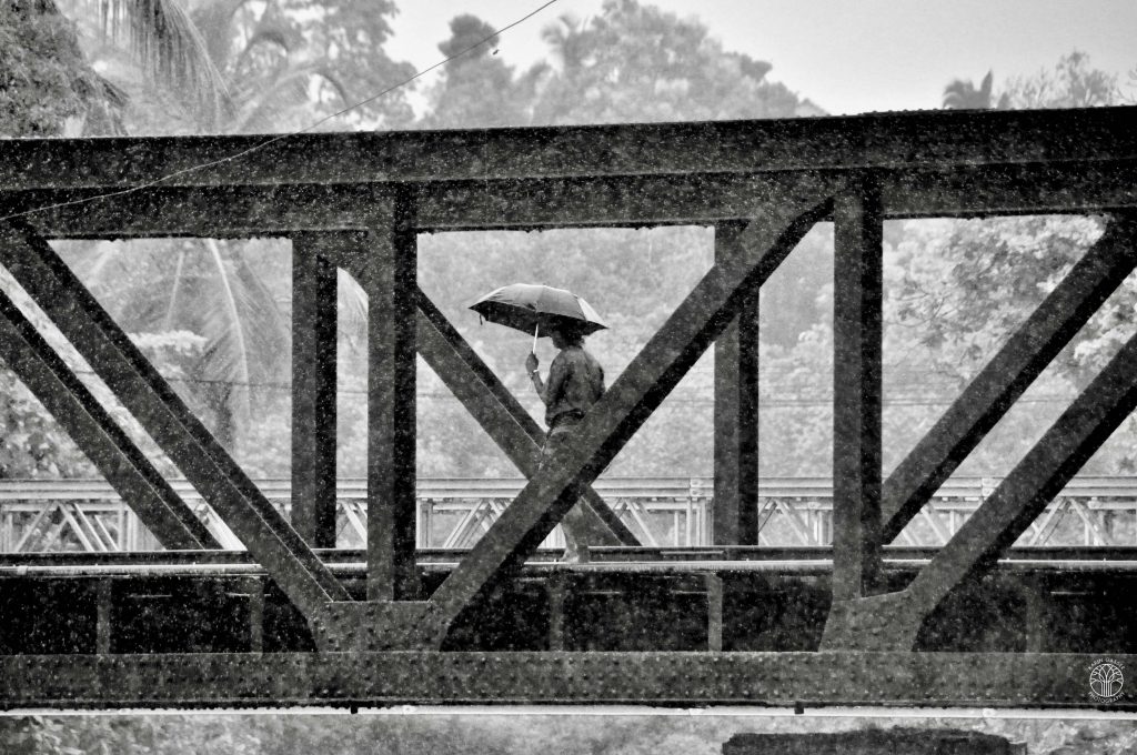 Sri Lanka , Altugama bei Regen (0047)